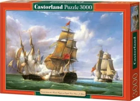 Castorland 300037 Námořní bitva