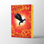 Catching Fire Deluxe - Suzanne Collinsová
