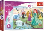 Puzzle Seznamte se Disney princeznami