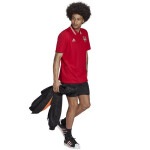 Pánské polo tričko Arsenal London HF4047 Adidas XXL