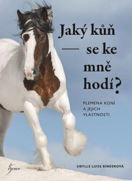 Jaký kůň se ke mně hodí? - Sibylle Luise Binder