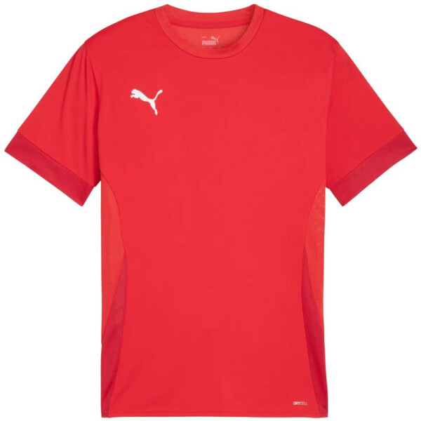 Pánské zápasové tričko Puma teamGoal M 705747 01 2 XL
