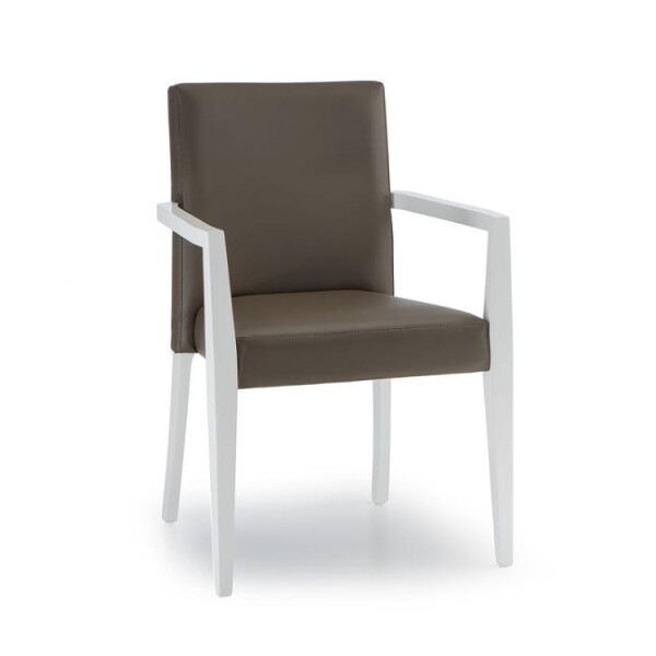 NábytekProNás Designové křesílko DIANA 260 - stohovatelné STI-DIANA260