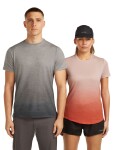 ICEBREAKER Mens Mer 125 Cool-Lite Sphere SS Tee Alta, Metro Hthr velikost: L