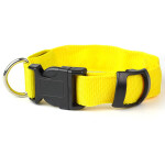Small svítící obojek pro psy | 28 - 43 cm Barva: Oranžová, Obvod krku: 33 - 43 cm