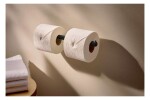 HANSGROHE - AddStoris S Držák toaletního papíru dvojitý, matná černá 41768670