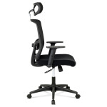 Kancelářská židle, houpací mechanismus, černá síťovina, KA-B1013 BK