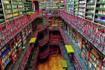 Nástěnný kalendář 2026 Graspo - Bibliotheca