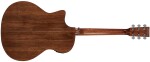 Tanglewood TWX6CEBW