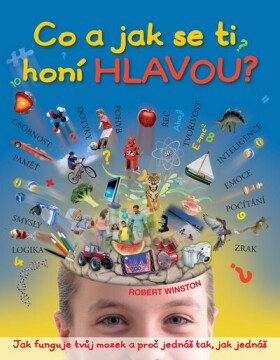 Co a jak se ti honí hlavou? (poškozené) - Robert Winston