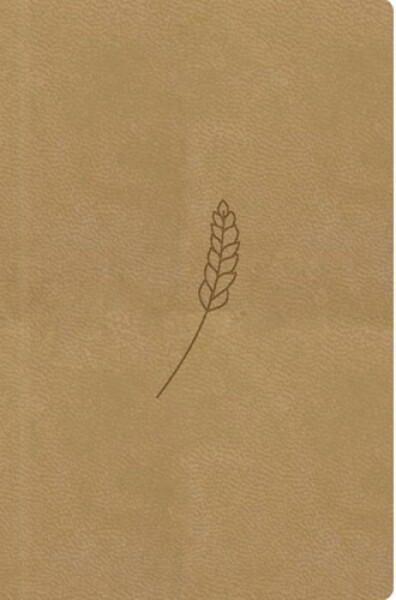 Bible, překlad 21. století (medová) - kapesní