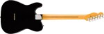 Fender American Professional Telecaster RW BLK