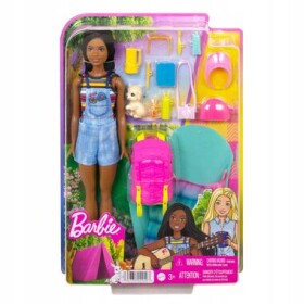Barbie DHA KEMPUJÍCÍ PANENKA BROOKLYN