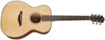 Furch Green Pure OM-SM CNR Active