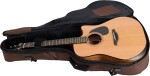 Furch Blue Deluxe Dc-CM CNR Active 2026