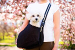 TailUp taška pro psa | do 5 Kg Barva: Šedá, Dle váhy psa: do 2 kg 36 x 22 cm, 38 x 24 cm, 41 x 27 cm