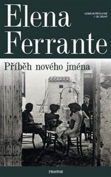 Geniální přítelkyně 2 - Příběh nového jména - Elena Ferrante