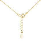 LUNICA Stříbrný náhrdelník ZLATÝ ČTYŘLÍSTEK 0196