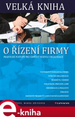 Velká kniha o řízení firmy. Praktické postupy pro úspěšný rozvoj organizace - Dana Janišová, Mirko Křivánek e-kniha