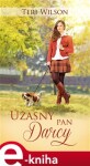 Úžasný pan Darcy