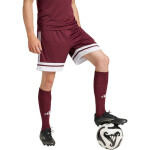 Šortky adidas Squadra 25 M JC8677 s