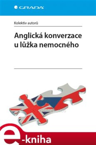 Anglická konverzace u lůžka nemocného - kol. e-kniha