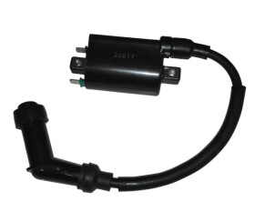 Access-Motor Indukční cívka na Access Max/Tomahawk/250/300/400