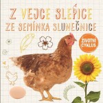 Vejce slepice, ze semínka slunečnice Životní cyklus