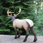 Safari Ltd. Safari Ltd. Figurka - Wapiti