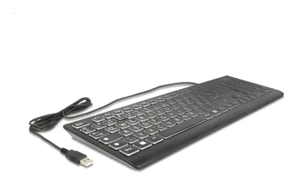 DeLock klávesnice XXL černá / Klávesnice / Drátová / Mechanická / RGB / Numpad / QWERTZ (12170)
