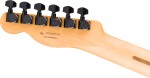 Fender DE Player II Advanced Telecaster HH EB FLW