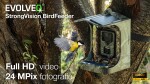 EVOLVEO StrongVision BirdFeeder - Chytré krmítko pro ptáky s kamerou a solárním panelem