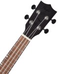 Flight DUC 380 Amber Satin Color