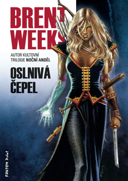 Oslnivá čepel - Brent Weeks