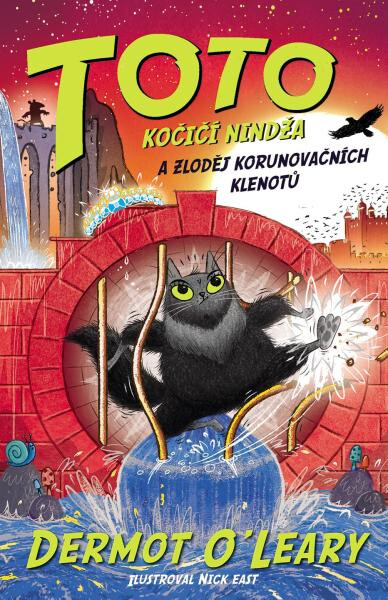 Toto Kočičí nindža a zloděj klenotů - Dermot O’Leary
