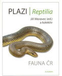 Plazi/