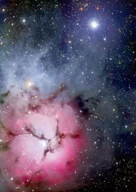 ENJOY Puzzle Mlhovina Trifid