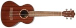 Lanikai MAS-T
