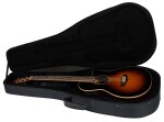 Tanglewood TW45RVSE