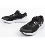 Dámské oblečení Under Armour 3024989-001