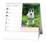 Stolní kalendář 2027 Baloušek IDEÁL Pes - věrný přítel /s psími jmény/
