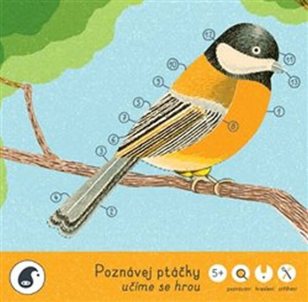 Poznávej ptáčky - učíme se hrou - Jitka Musilová