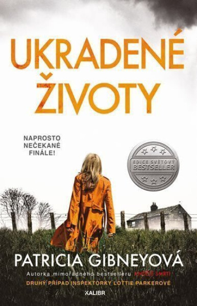 Ukradené životy, 1. vydání - Patricia Gibneyová