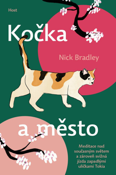 Kočka a město (poškozená) - Nick Bradley