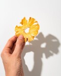 Vilgain Ananas sušený BIO – kroužky 250 g