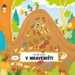 Co se děje v mraveništi, 1. vydání - Petra Bartíková