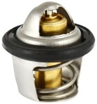 Access-Motor Termostat na Access Tomahawk 250/300/400