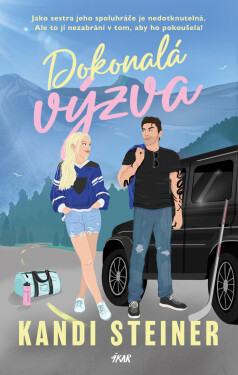 Dokonalá výzva - Kandi Steiner