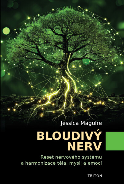 Bloudivý nerv - Jessica Maguire