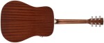 Cort Earth 70E W NS